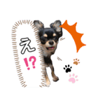 日常で使えるスタンプ(木の葉)（個別スタンプ：3）