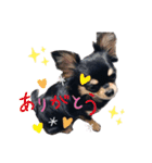 日常で使えるスタンプ(木の葉)（個別スタンプ：10）