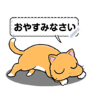 猫のギャング [メッセージ]（個別スタンプ：15）