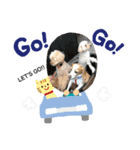 ビーグル犬とインコのスタンプ（個別スタンプ：6）