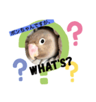 ビーグル犬とインコのスタンプ（個別スタンプ：7）