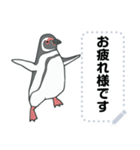 おらの動物園37【ペンギン4】修正版（個別スタンプ：4）