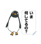 おらの動物園37【ペンギン4】修正版（個別スタンプ：12）
