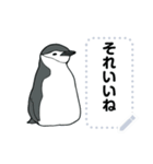 おらの動物園37【ペンギン4】修正版（個別スタンプ：13）