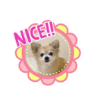 うちのまりあんな❣️（個別スタンプ：3）