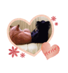 うちのまりあんな❣️（個別スタンプ：7）