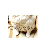 わたしTimTam（個別スタンプ：7）