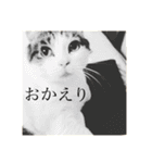 わたしTimTam（個別スタンプ：21）