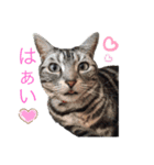 みなちゃんの日々（個別スタンプ：4）