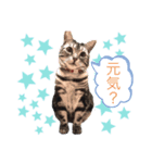 みなちゃんの日々（個別スタンプ：5）