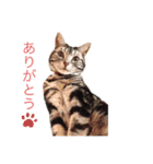 みなちゃんの日々（個別スタンプ：6）