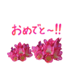 お花大好きメッセージ（個別スタンプ：30）