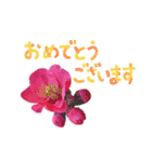 お花大好きメッセージ（個別スタンプ：32）