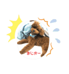 ちゃたろだもの（個別スタンプ：1）