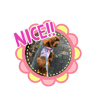 ちゃたろだもの（個別スタンプ：6）