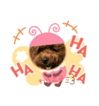 ちゃたろだもの（個別スタンプ：12）