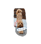犬バカスタンプ（個別スタンプ：4）