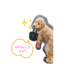 犬バカスタンプ（個別スタンプ：6）