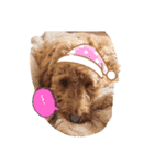 犬バカスタンプ（個別スタンプ：8）