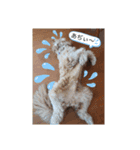 犬バカスタンプ（個別スタンプ：11）