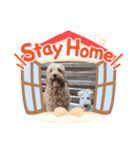 犬バカスタンプ（個別スタンプ：16）