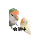 はるまる日和（個別スタンプ：1）
