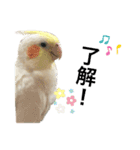 はるまる日和（個別スタンプ：5）
