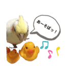はるまる日和（個別スタンプ：10）