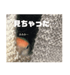 はるまる日和（個別スタンプ：12）