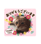 コンタロウ スタンプ（個別スタンプ：6）