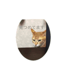 コンタロウ スタンプ（個別スタンプ：8）