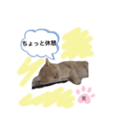 笑ちゃんスタンプ❤︎（個別スタンプ：1）