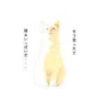 十猫十色 2（個別スタンプ：14）