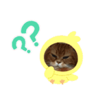 十猫十色 2（個別スタンプ：16）