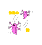 日常系ミジンコ(低クオリティ)（個別スタンプ：3）