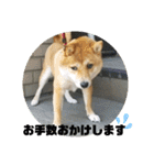 こはる専務  の日常 仕事編（個別スタンプ：3）