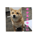 こはる専務  の日常 仕事編（個別スタンプ：5）
