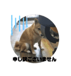 こはる専務  の日常 仕事編（個別スタンプ：8）