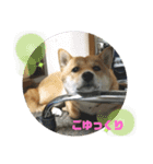 こはる専務  の日常 仕事編（個別スタンプ：12）