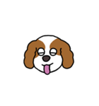 ちょこぴっぴ（個別スタンプ：4）