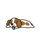 ちょこぴっぴ（個別スタンプ：7）