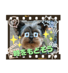 ゆず丸 ヨーキー（個別スタンプ：27）
