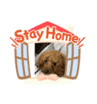 ボクのある日（個別スタンプ：5）