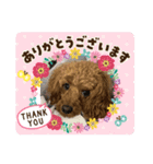 ボクのある日（個別スタンプ：10）