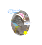 チンチラのもこくん（個別スタンプ：2）