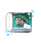 チンチラのもこくん（個別スタンプ：3）
