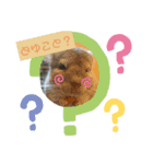 チンチラのもこくん（個別スタンプ：8）
