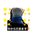 サモエド.エル時々ロイ（個別スタンプ：19）