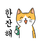 にゃんこたち 5 (韓国語)（個別スタンプ：12）