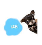 タツミ フウ（個別スタンプ：1）